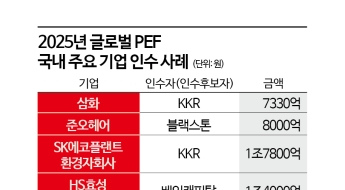 굵직한 매물 휩쓸어가는 외국계, 입지 위축되는 토종 사모펀드