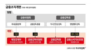 [1mm금융톡]국회로 나선 금감원 직원들… 