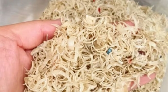 "없던 병도 생기겠네"…㎏당 3만원에 팔리는 中 기괴한 전통약재