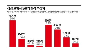 보험사 실적 3분기도 어둡다…건강보험 출혈경쟁·자동차보험 발목