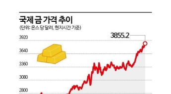 '슬금슬금 오르더니' 올해만 40% 급등한 '금'…어떻게 해야 할까