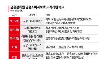 [금융현미경]이찬진 금감원장, 금소처 격상 추진…내년 국민보고대회 예고