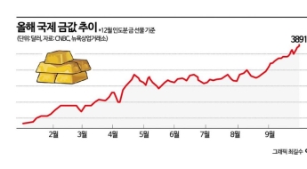 셧다운 직격탄…金 안전자산 불붙고 달러는 '흔들'