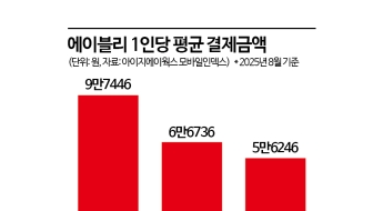[생사기로]②中쉬인의 재공습…알리 손잡은 에이블리 '역부족'