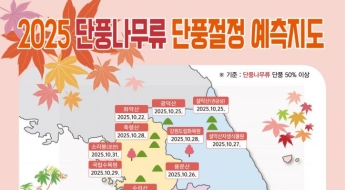 '단풍 절정' 이달 말~내달 초…