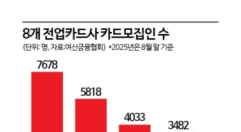 해킹사고·디지털 전환 여파에 설 자리 잃어가는 카드모집인