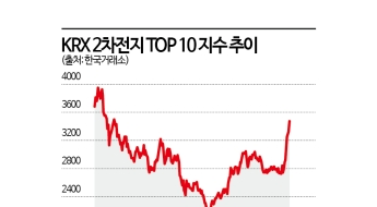 증시 숨 돌릴 때 에코프로 두자릿수 '독주'…매수는 글쎄