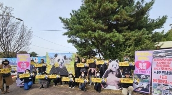 시진핑 온 김에 