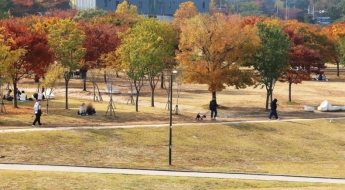 [내일날씨]예년보다 포근한 날씨…건조한 동해안 불조심 