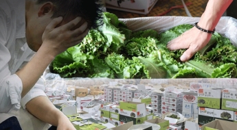 귀농하면 8000만원은 번다더니…'1만원→9만원' 널 뛰는 상추 경매가에 손에 쥔 건 月 90만원[날씨는 죄가없다]①