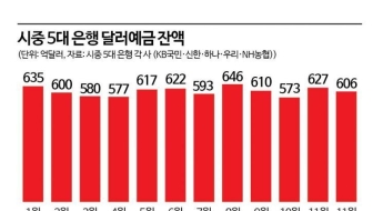 투자자들 환차익 나섰나…치솟던 달러예금 급감
