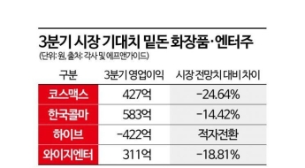 믿었던 K컬처의 배신…시장 전망치 하회에 주가 '우수수'