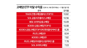 고배당 ETF, 정책 모멘텀 등에 업고 '훨훨'