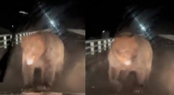 "설마설마했는데…정신 차리기 전 날아갔다" 2년째 후유증 겪고 있는 日 남성