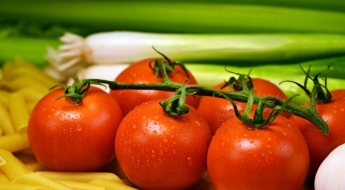 "중국산 안사요" 돌아선 이탈리아…토마토 수출 급감에 난리난 '이곳'