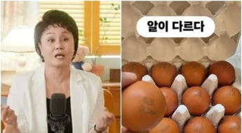 고가 달걀 논란에 입 연 이경실 "난각번호, 품질 등급과 무관"
