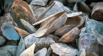 대재앙 왔다 '발칵' 뒤집힌 일본…