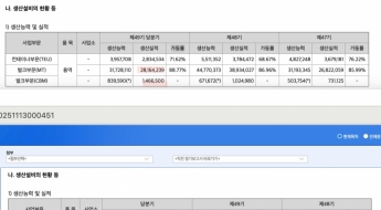 '재앙' 예고된 컨테이너선…'벌크업'에 눈돌리는 HMM
