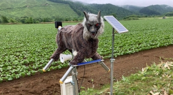 "정말 곰 내쫓냐"…400만원 넘어도 "가짜 늑대 사겠다" 문의 폭주