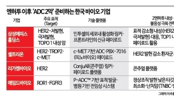 한국發 ADC 전쟁 2막, '내성 돌파'에서 승부 난다