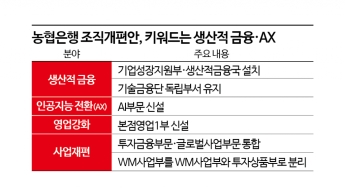 [단독]강태영 농협은행장 첫 조직개편 단행…생산적 금융·AX 강화 등