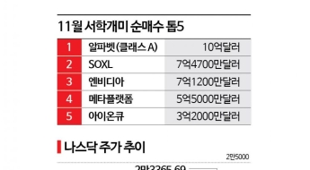 AI 거품론에 서학개미 美주식 보관액 '뚝'…구글은 1조 베팅