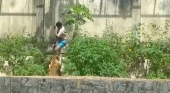 동물원 담 넘어 사자 우리 들어간 10대 소년, 암사자 공격에 결국  