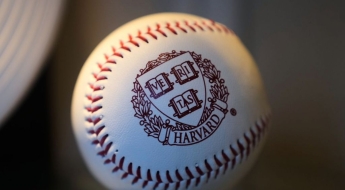 하버드 수재들도 별 수 없나…'오른다' 믿고 담은 코인, 대폭락