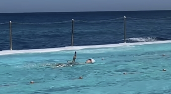 "세상이 미쳐 돌아간다" 수영장서 포착된 여성…배영하며 손에 쥔 '스마트폰'