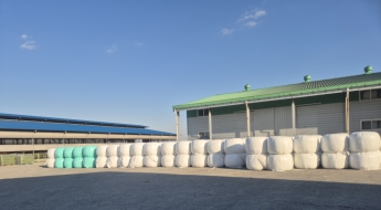 [농업 바꾼 FTA]고품질 韓 조사료 키워 사료비·수입의존도↓