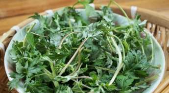 한국에선 아무데서나 '쑥쑥' 자라는 흔한 풀인데…중국·일본에선 '귀한 몸'