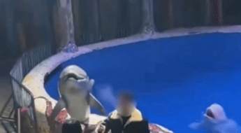 "담배 꺼주세요" 직원 말 무시하자…물속에서 튀어나와 응징