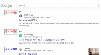 제미나이 짝퉁 '제미'? 모르고 39000원 결제…"유사 사이트 주의"