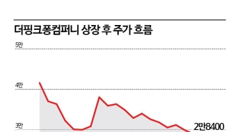'소문난 잔치' 더 핑크퐁, 상장 후 최저가