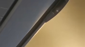 '찍찍' 소리에 승객들 '멘붕'…항공사도 "처음 겪어, 답답하고 불쾌"