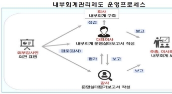 내부회계관리제도 위반 14건 적발…