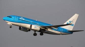 비행기 탔다가 빈대에 물린 가족…항공사들 상대로 "3억 물어내라" 소송