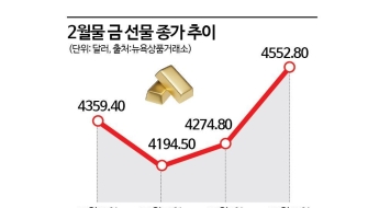 신기록 행진 '금속 전성시대'내년에도 반짝반짝 빛날까