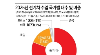국내 수입 전기차 81%가 중국산…테슬라·BYD가 판 바꿨다