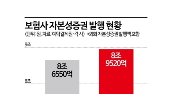보험사 자본성증권 발행 또 역대 최대…'기본자본 규제'가 불러올 변화는