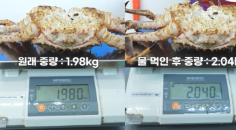 "그만 올려라, 상인들 벼르고 있다"…수산물 '저울치기' 폭로 뒤 돌아온 협박