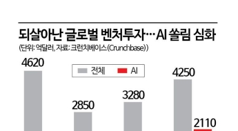 침체 벗어난 글로벌 벤처투자…절반은 AI로