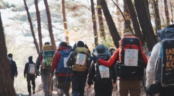 "이제 우리만 못 가네" NYT서 찜했다…'한국판 산티아고 순례길' 어디