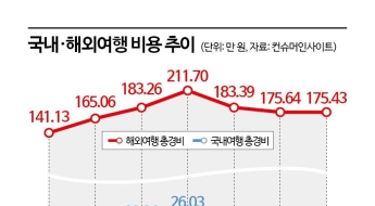 "강원도 갈 돈이면 베트남"은 옛말…국내 보다 7배 비싼 해외여행[주머니톡]