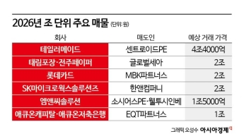 쏟아지는 조 단위 대형 매물, M&A 시장 기지개 켤까