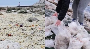 "이런 광경은 처음" 모래사장인 줄 알았는데…바다 떠돌다 밀려온 감자칩