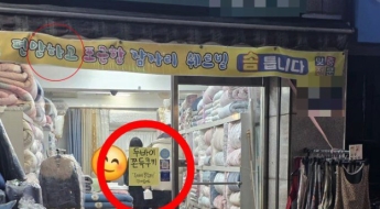 돈 된다니까 다 뛰어들었다…국밥집 닭발집이어 이불집까지 