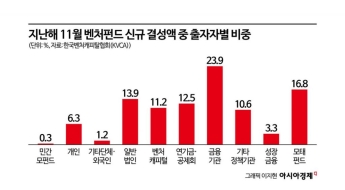 [벤처캐피털 리셋]보험·은행 등 '장기 자본' 투자 물꼬 터야