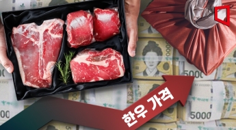"이 가격이 맞아?" 한우 집어들었다가 '깜짝'…설명절 선물세트 두 자릿수 인상