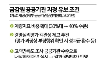 29일 금감원 공공기관 지정 결론…지정 유보에 무게